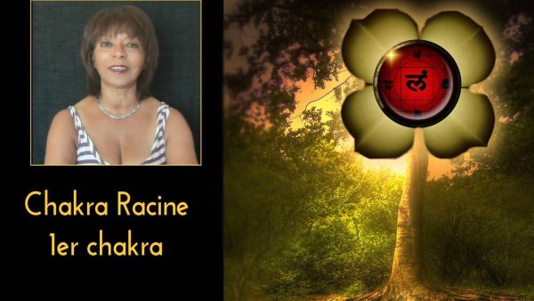Vidéo fonctionnement du 1er chakra le chakra racine
