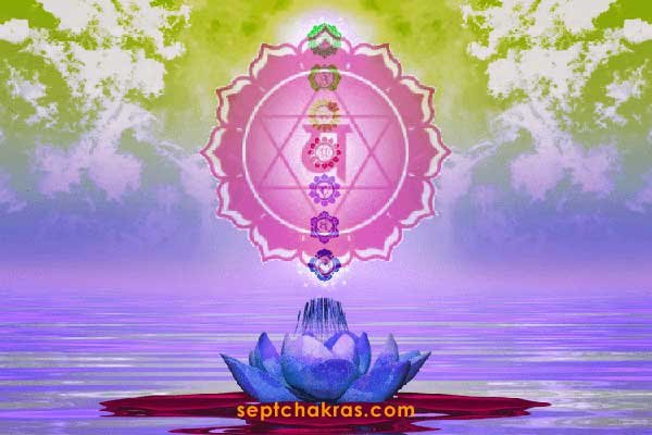 importance chakras secondaires
