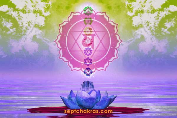 Importance des chakra secondaires