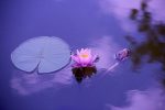 Pratiquez le yoga pour bien vous relaxer