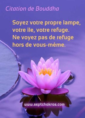 Citation de Bouddha: Soyez votre refuge