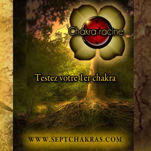 Testez votre 1er chakra, le chakra racine