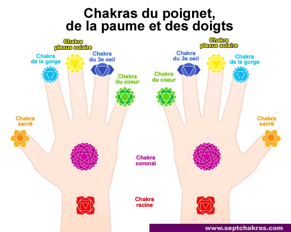 Chakras du poignet, de la paume des mains et des doigts Chakras Paume Doigts Poignet