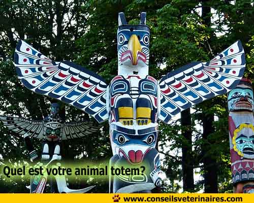 Découvrez votre animal totem