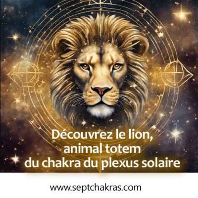 Découvrez le lion, animal totem du chakra du plexus solaire