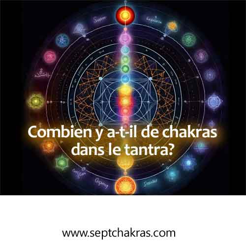 Combien y a-t-il de chakras dans le tantra? Combien y a-t-il de chakras dans le tantra?