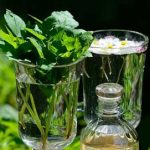 10 plantes énergétiques pour équilibrer vos chakras 10 plantes énergétiques pour équilibrer vos chakras