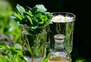 10 plantes énergétiques pour équilibrer vos chakras