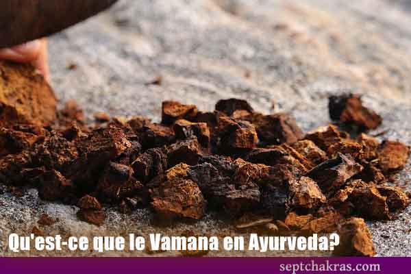 Qu’est-ce que le Vamana en Ayurveda?